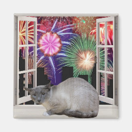 Feuerwerkskörper Magnet