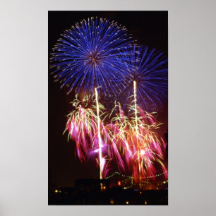 Feuerwerkskörper Poster