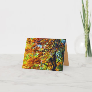 Feuillage d'automne et carte lumineuse