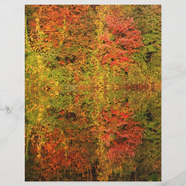Feuillage d'automne Papier à papier à papier à pap (Devant)