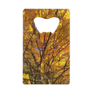 Feuillage jaune d'automne