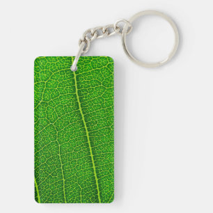 Feuille