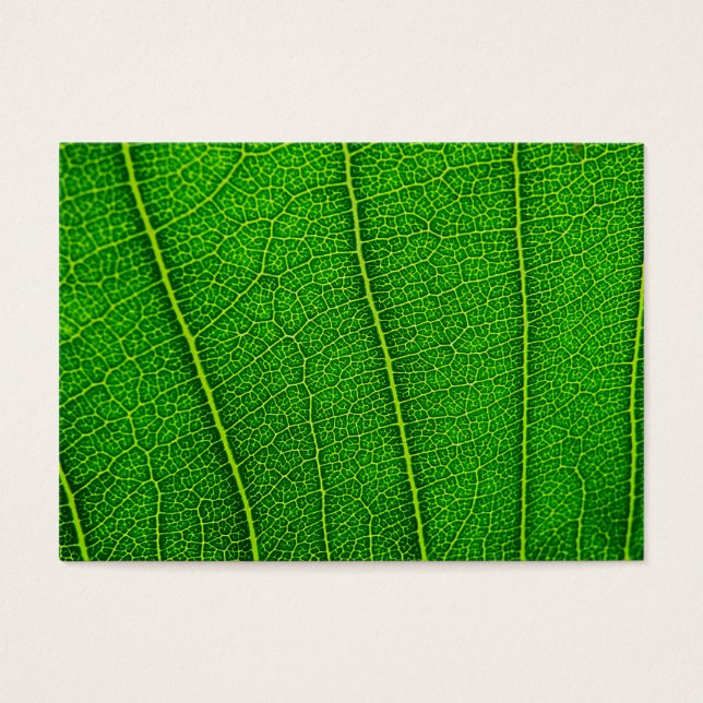 Feuille (Devant)