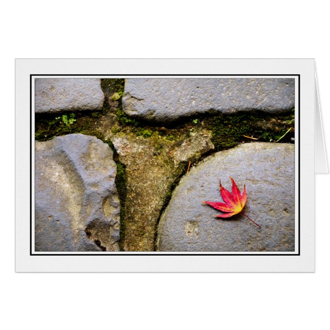 Feuille (Devant horizontal)