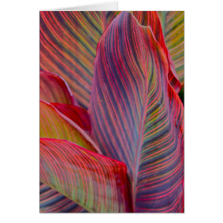 Feuille