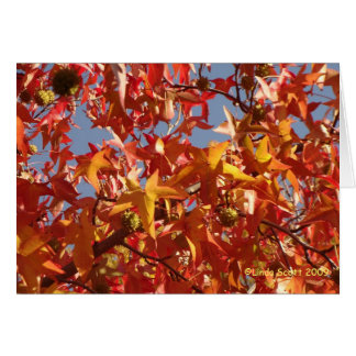 Feuille ambre liquide