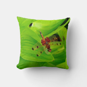 Feuille avec libellule rouge, coussin vert presque