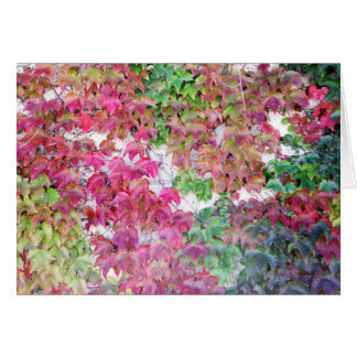 Feuille coloré par chute