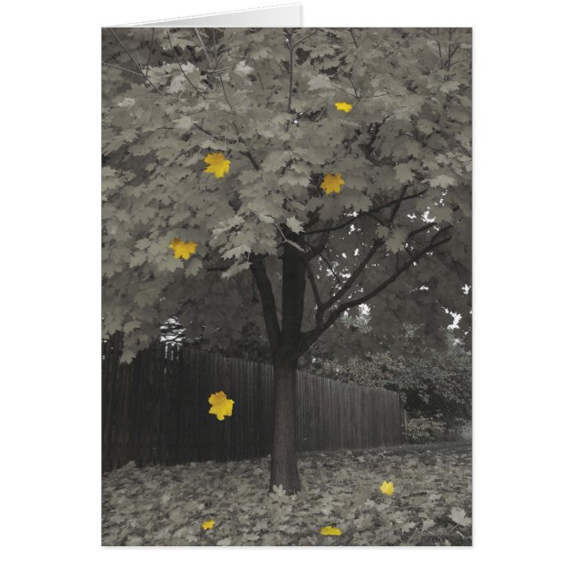 Feuille d'automne (Devant)