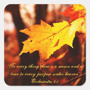 Feuille d'automne dans les autocollants de Poconos