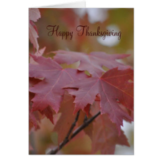 Feuille d'automne de ~ de thanksgiving