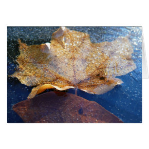Feuille de érable jaune gelée Automne Nature