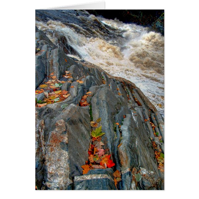 Feuille de Livermore : Carte (Devant)