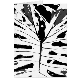 Feuille de Monstereo