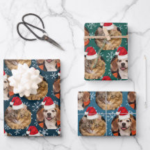 2 Animaux de compagnie Santa Hat sur les têtes Blu