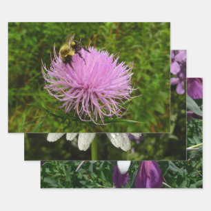 Feuille De Papier Cadeau Abeille sur Chardon