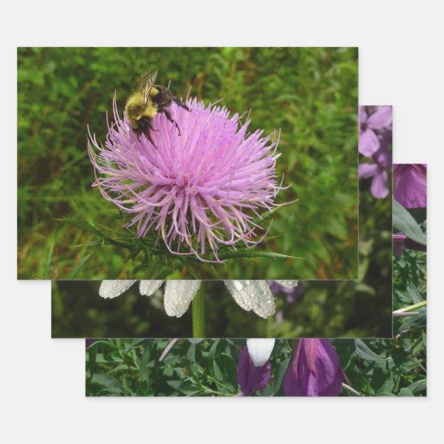 Feuille De Papier Cadeau Abeille sur Chardon (Lot)
