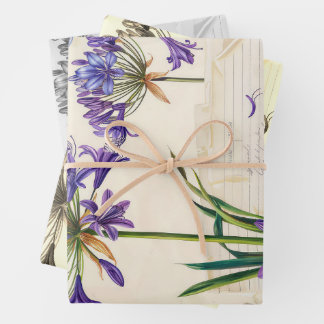 Feuille De Papier Cadeau Agapanthus flower Ephemera Collage Art