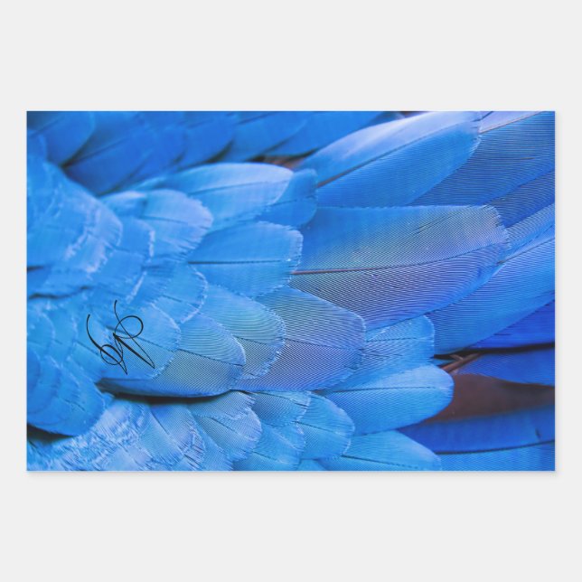 Feuille De Papier Cadeau Aile à plumes bleues monogrammée (Devant)