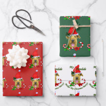 Airedale Terrier Santa Hat Noël