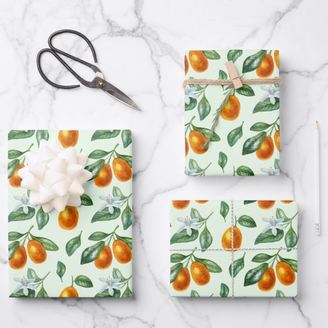 Feuille De Papier Cadeau Alimentation en agrumes d'orange esthétique (Recto)