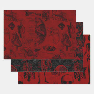Feuille De Papier Cadeau Anatomie du vampyre gothique Crimson