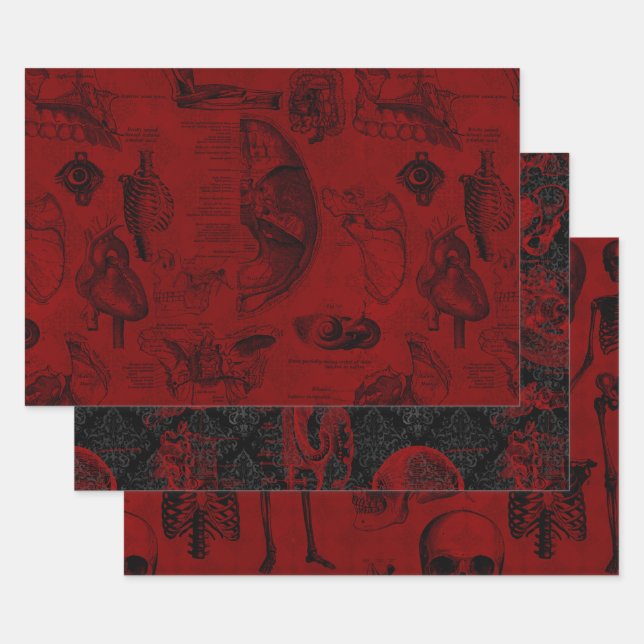 Feuille De Papier Cadeau Anatomie du vampyre gothique Crimson (Lot)