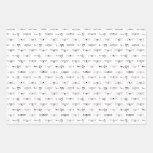 Feuille De Papier Cadeau Antique Airplanes Aviation Art CUSTOM COLEUR