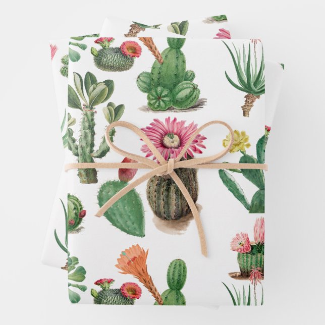 Feuille De Papier Cadeau Aquarelle colorée Cactus et succulents Fleurs (En situation)