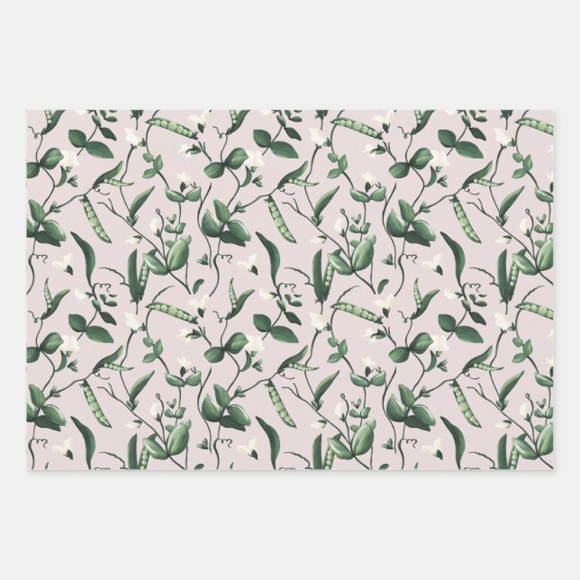 Feuille De Papier Cadeau Aquarelle de plante de pois doux (Devant)