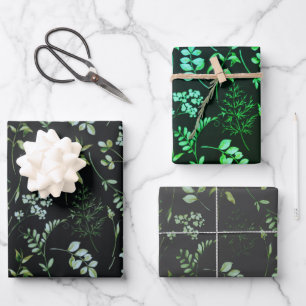 Feuille De Papier Cadeau Aquarelle Feuillage de Eucalyptus Vert