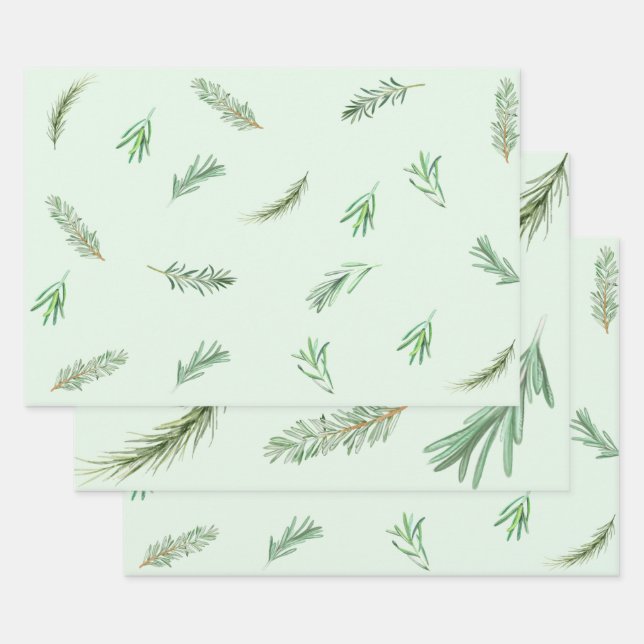 Feuille De Papier Cadeau Aquarelle Green Rosemary Branches Herbal (Lot)