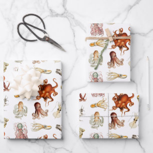 Feuille De Papier Cadeau Aquarelle Octopus Cephalopod Océan Animaux