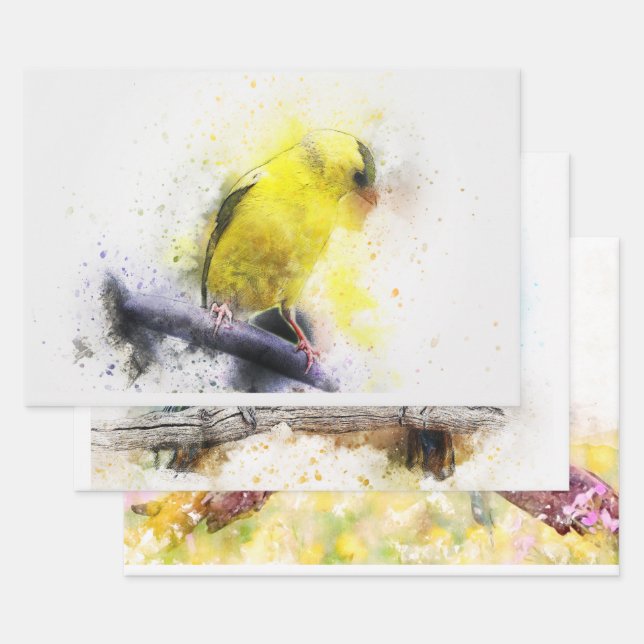 Feuille De Papier Cadeau Aquarelle Oiseau 5 Découpage Mur Art (Lot)