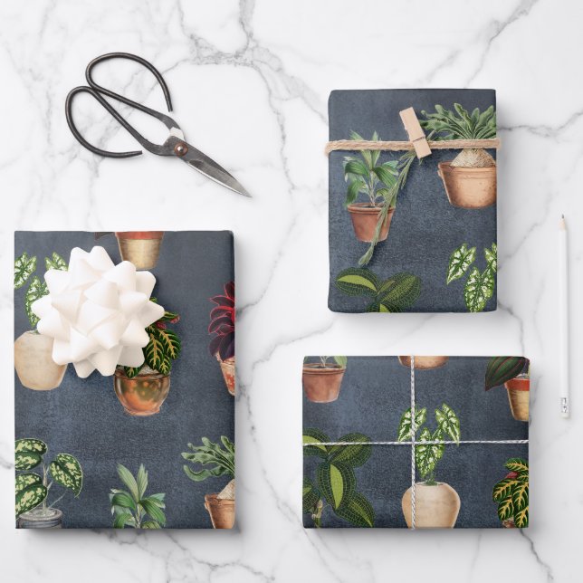Feuille De Papier Cadeau Aquarelle Pointe Plante Terracotta Pots Rustique (Recto)