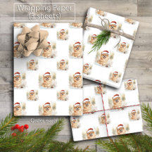 Aquarelle Pomeranian à Santa Hat Noël