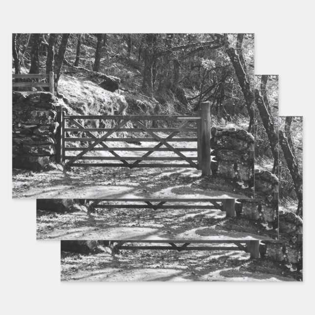 FEUILLE DE PAPIER CADEAU ARBRES NOIRS ET BLANCS ET PORTE (Lot)