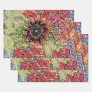 Feuille De Papier Cadeau Automne Vintage Tournesol Rustique Brown Maple Feu