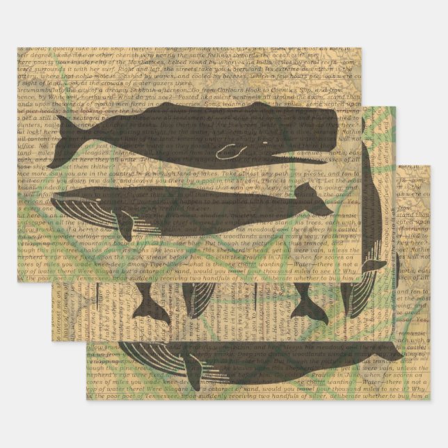 Feuille De Papier Cadeau Baleine antique Vie marine (Lot)