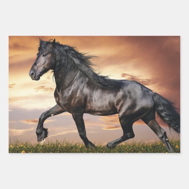 Feuille De Papier Cadeau Beau Cheval Noir (Devant 2)