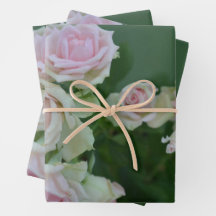 Beau jardin rose clair roses