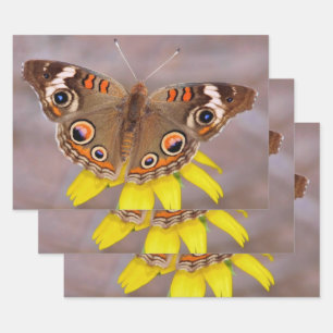 Feuille De Papier Cadeau Beau papillon sur fleur jaune 
