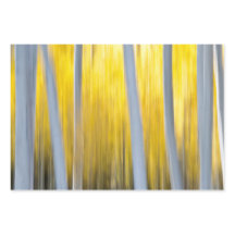 Beaucoup d'Aspen