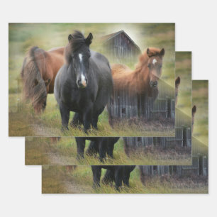 Feuille De Papier Cadeau Beaux chevaux et grange rustique