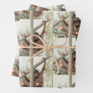 Feuille De Papier Cadeau Bébé Orangoutan en mouvement
