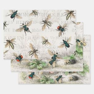 Feuille De Papier Cadeau Bee Honey Travailleur Queen Bees Antique