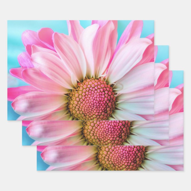 Feuille De Papier Cadeau Belle Fleur rose Gros plan Photo (Lot)