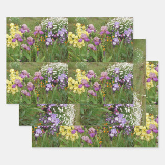 Feuille De Papier Cadeau Belle Iris Fleur Pourpre florale Jardins Irises