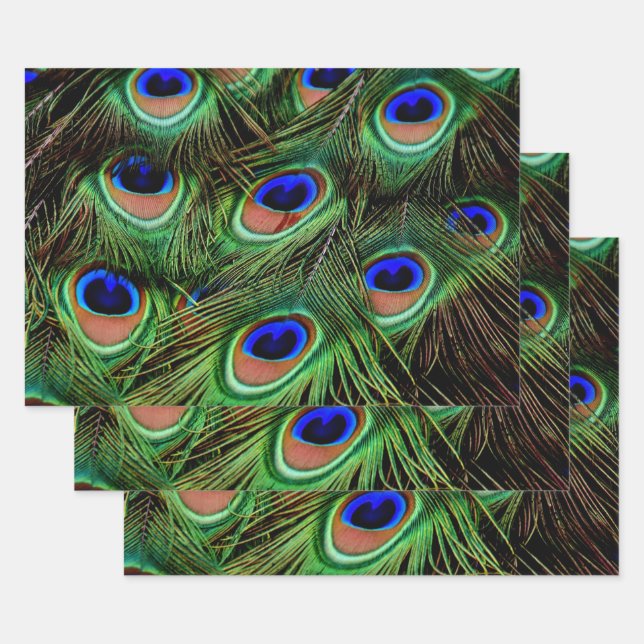Feuille De Papier Cadeau Belles plumes de paon (Lot)