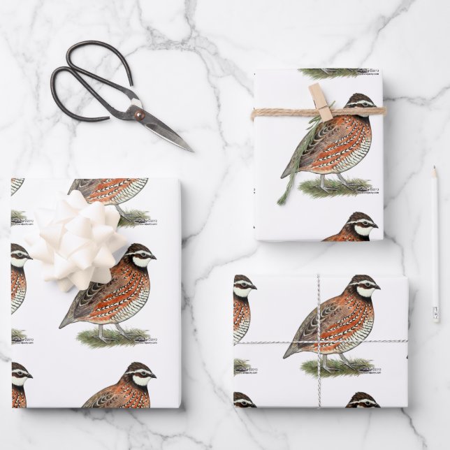 Feuille De Papier Cadeau Bobwhite Quail Rooster (Recto)